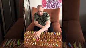 Лучшие вибы на судака