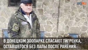 В Донецком зоопарке спасают тигренка, оставшегося без лапы после ранения