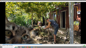 Скважина своими руками за дешево