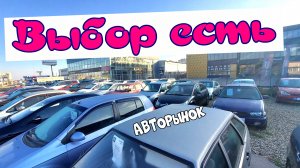 Недорогие авто разбираются с ходу. Цены авторынок Краснодар. Пока выбор есть.