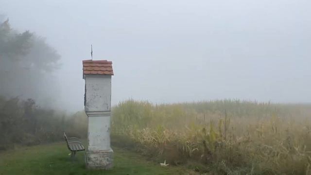 Туманная прогулка в Немецкий лес.