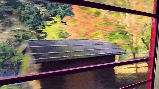 Шум поезда с 4К видом из окна, спокойной ночи! Все для тишины и спокойствия на Тарон ТВ. смотреть онлайн