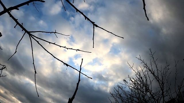 Что делать с вещами ушедшего родного человека. Оставить нельзя выбрасывать.