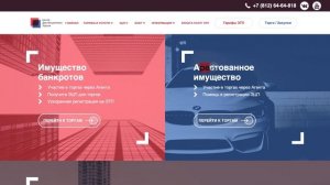 ЦДТ - разбор торговой площадки. Нужна ли она? Торги по банкротству 2019
