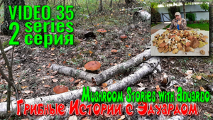 А Белых Всё БОЛЬШЕ! 35 выезд, 2 Серия. Грибные Истории с Эдуардом. За Грибами 2022. За Белыми!
