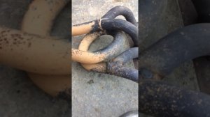 4-2-1 Субару саунд и его возможные проблемы