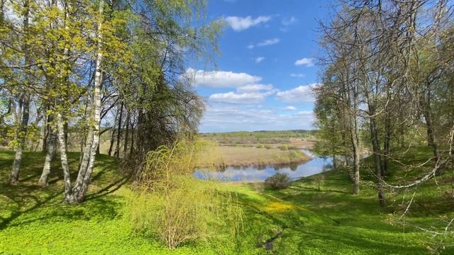 Усадьба в Пушкинских горах смотреть онлайн