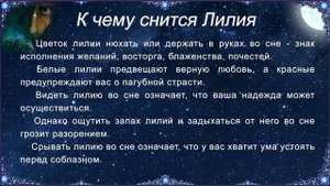 К чему снится Лилия (Сонник)