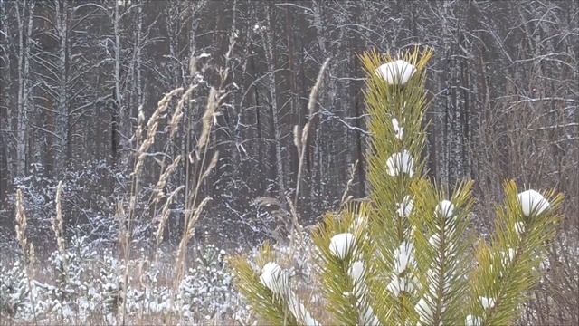 Божественное омоложение (с преодолением климакса 1 ч.