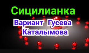 30) Сиц Гусева Каталымова