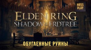 Клинок милосердия! Обугленные руины Elden Ring Shadow of the Erdtree #eldenring #dlc #massplay