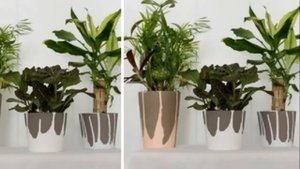 8  DIY Декор цветочных горшков поднимет настроение