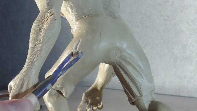 Sculpting werewolf  The Witcher