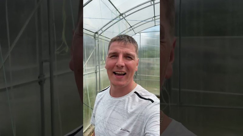А что вы выращиваете в теплице? #огородкруглыйгод #теплица