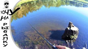 Бешеный клев ротана! Мы не были к такому готовы! Фильм #2