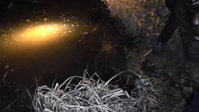 Запускаем малька карася и карпа. смотреть онлайн