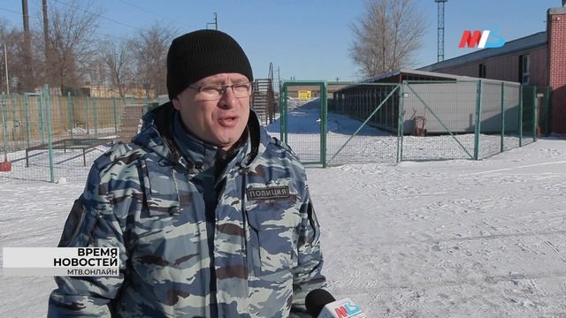 На страже закона: как собаки и кони помогают полиции следить за порядком в Волгограде смотреть онлайн