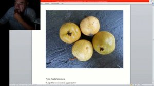 45 ч 7 персик Хасанский