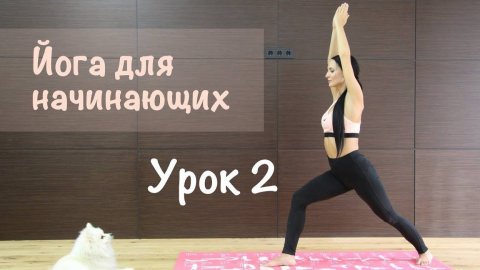 Йога для начинающих. Урок 2. Растяжка.