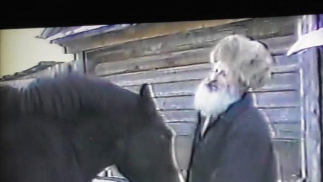 2001Г\УНИКАЛЬНЫЙ ОЧЕНЬ РОЛИК \ЛОШАДЬ ЕСТ ХЛЕБ ИЗО РТА ГАРМОНИСТА МУСАТОВА В И С ДЕР НОВАЯ НИЖЕГОРОД смотреть онлайн