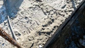 Гадкий пластификатор против мороза Sika antifreeze FS-1