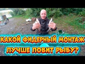 Постоянные поклёвки не дали провести тест  монтажей / Рыбалка на фидер осенью / Ловля леща на фидер