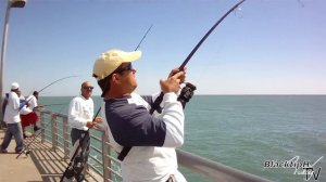Fishing for Redfish at Sebastian