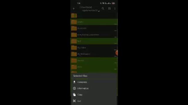 How to add JAVA version in Minecraft original in Telugu смотреть онлайн