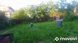 Когда достали соседи громкой музыкой!