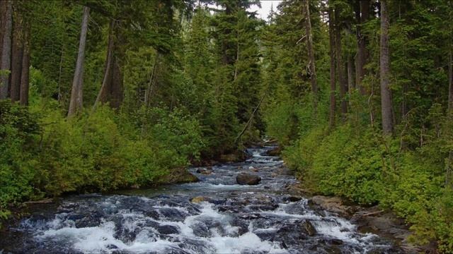 Оздоровительный сеанс.Просто Смотри и Слушай!!! Твоё тело знает, что делать! Будь здоров смотреть онлайн