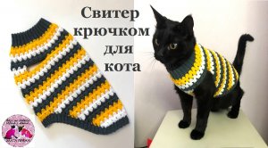 Как связать крючком свитер для кота. Подробный мастер-класс поможет начинающему