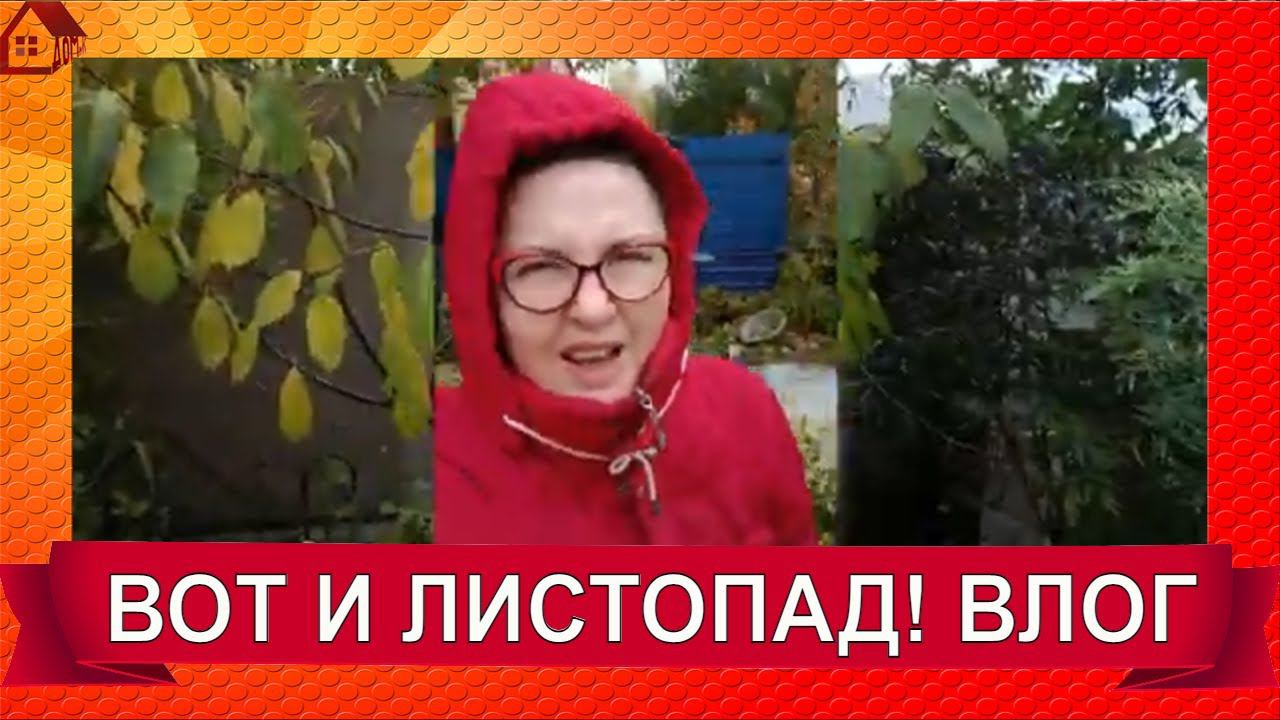 БОЛТОВЛОГ НОЯБРЬ - ЛИСТОПАД. Планирование работ осень-весна. Делаю обход сада-огорода.