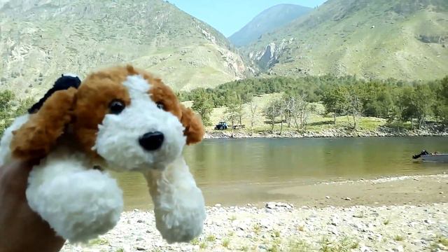 Долина Чулышмана, Siberian Expeditions, турбаза "Каменные грибы" река Чулышман.