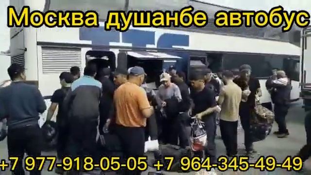 Санкт-Петербург, Худжанд, автобус. Санкт-Петербург, Ташкент, автобус.+79852641999 смотреть онлайн