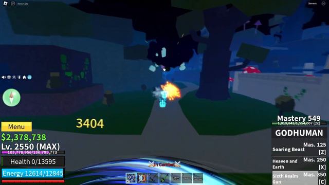 fer999 vs ImFiji
