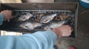 Коптим карасей в коптильне сделанной своими руками