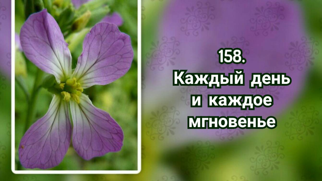 Гимны надежды 158 Каждый день и каждое мгновенье (-) смотреть онлайн