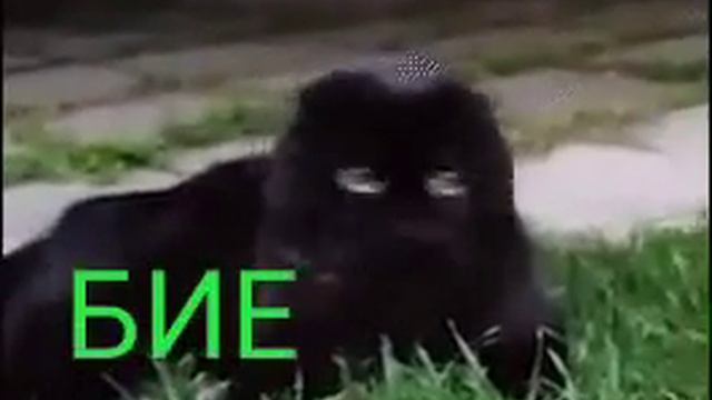 Когда съел свои носки смотреть онлайн