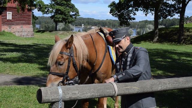 Nikon D3200 -- пример видео смотреть онлайн