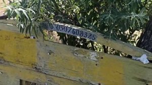Славянск 21 июня 2023 — Славкурорт, плиты, оз. Рапное.