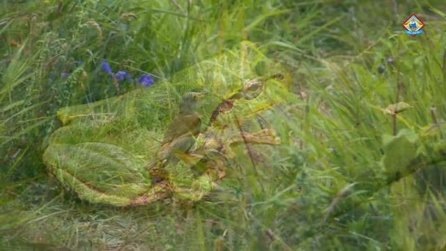 Приморский край, красота природы вдоль побережья Японского моря