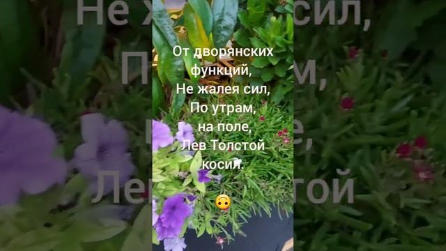 Автор: Андрей Хвальский, стишки пирожки.