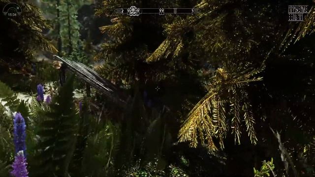 Прохождение TES V: Skyrim - Legendary Edition — #101: Через тернии смотреть онлайн