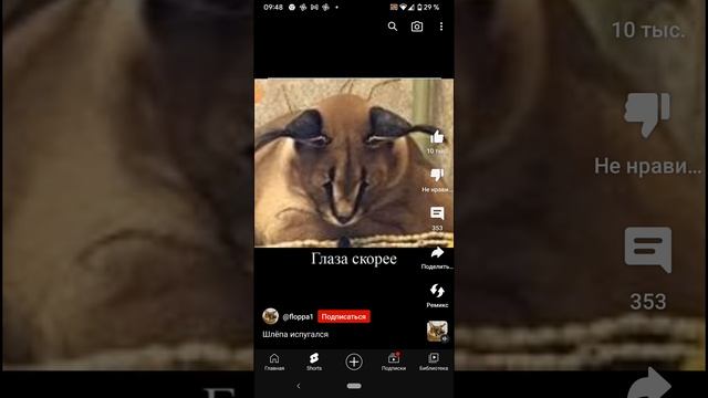 шлёпа и долчи милк смотреть онлайн