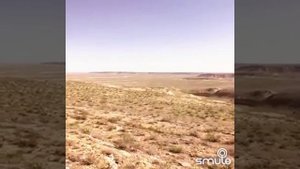 Казахстан Степь