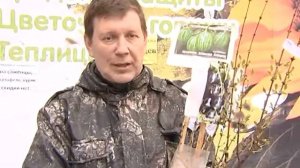 Какую вишню лучше выращивать в садах Северного Урала