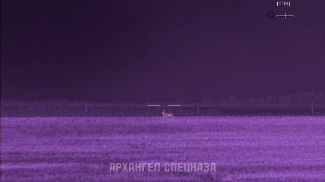 2_5199840940180644839.MOV