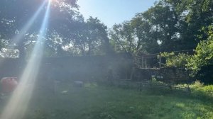 Сельская жизнь переселенцев из Израиля. Скалско Болгария. Утро и пение птиц. Чем заняться на пенсии