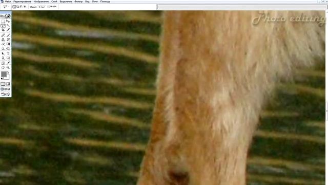 Эффект нижнего белья / underwear effect / идея в фотошопе / убираем слой одежды ! смотреть онлайн