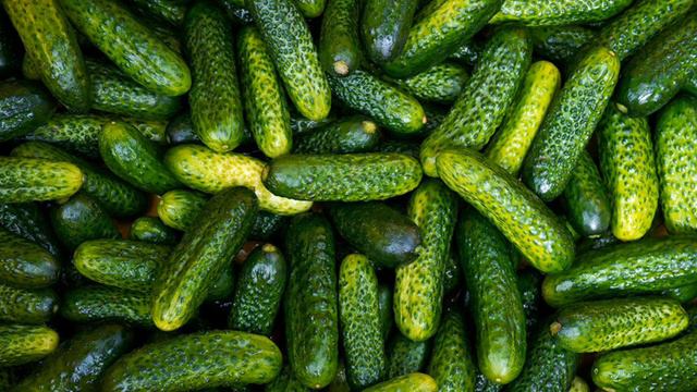 Что произойдет с организмом, если съедать один огурец каждый день смотреть онлайн